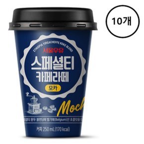 서울우유 스페셜티 카페 라떼 모카 250ml x 10개