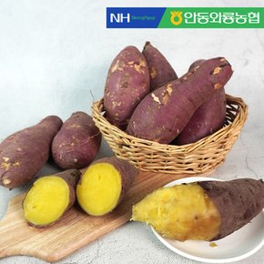 [안동와룡농협] 믿고 먹는 꿀고구마 (중상품) 5kg