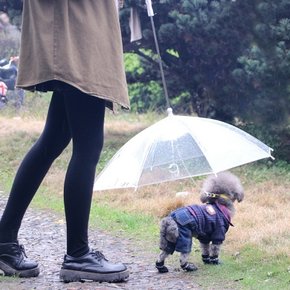 갓샵 강아지 애견 우산 [비오는날 산책 용품 우비 비올때 개우산]