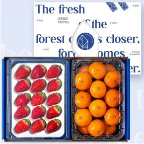 딸기 혼합과일세트 프리미엄 금실딸기&귤 과일선물세트 (총 1.6kg이상)