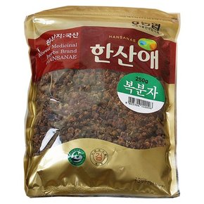 [태백농협] 한방재료약초-복분자 250g