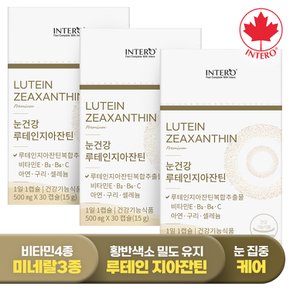 눈건강 루테인 지아잔틴 30캡슐 X 3박스 (3개월분) 비타민E B C 아연