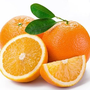 [당일주문당일수령][참다올]썬키스트 오렌지 6kg 20개내외