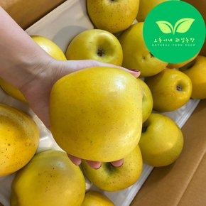 오둥이네 농장 2023년 황금사과 (가정용)시나노골드 사과 3kg~5kg