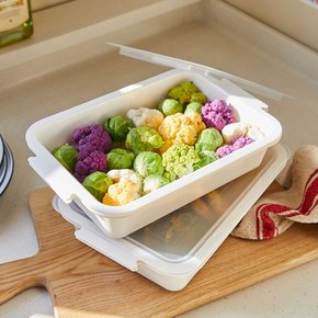 냉동실 냉장고 정리 보관 용기 플라스틱 직사각 바트 밧드 야채 채소 김밥 대 2개