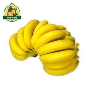 고당도 바나나 6kg내외(3~5송이)