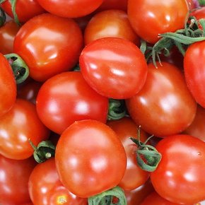 자연마을 무농약 대추방울 토마토 1kg