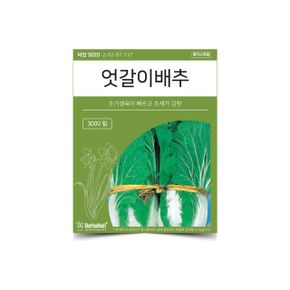 베하몰 텃밭 채소 씨앗 엇갈이배추 X ( 3매입 )