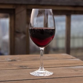 Spiegelau Festival Wine Glass 456ml 2p세트[무료배송]