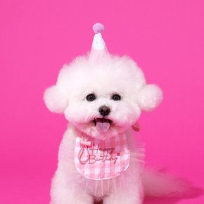 펫본 해피파티 생일 턱받이모자세트 핑크
