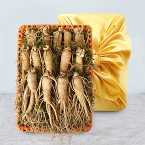 [산지직송] 금산 황금농장 수삼(특대) 2채 선물세트