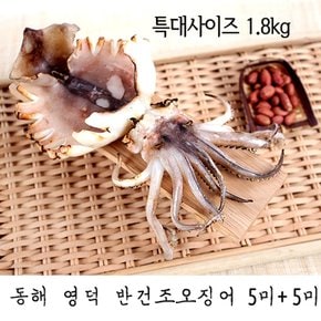 [사은품 증정] 건해몽 동해영덕 반건조오징어 특대5미+5미(1.8kg내외)+땅콩100g증정