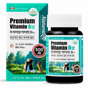 프리미엄 비타민B12 90정 3개월분 비타민 비타민b군 비타민 비 군