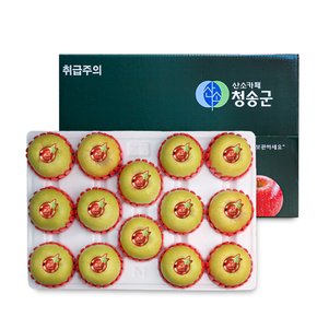 [오늘신선] 경북 청송 선물 프리미엄 과일선물 시나노골드 사과세트 5kg(14-15과내)