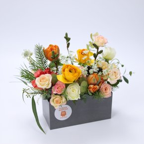 코즈니 샤벳 꽃선물 꽃상자 어버이날 스승의날 생일선물 프로포즈 꽃배달