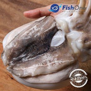 [피시원] 국내산 손질갑오징어(대) 3kg(11-13마리)급냉