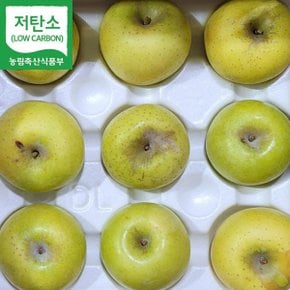 경북 영주 시나노골드 사과 못난이사과 흠과 2.5kg (5~10과 내외) GAP 저탄소인증 산지직송