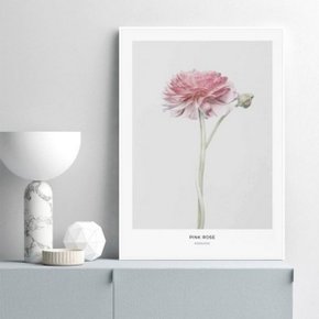 핑크 장미 꽃 그림 보테니컬 인테리어 액자 A2 포스터 + 알루미늄...