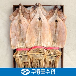 포항 구룡포 건오징어 10미(550g내외)
