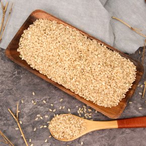 [부지런한 농부] 청정지역 고흥 단일품종 현미쌀 1kg
