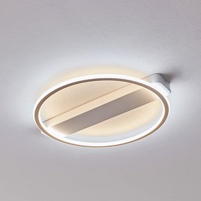 LED 아오르 방등 50W 주백색+주광색