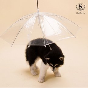 반려동물 강아지 산책용 우산