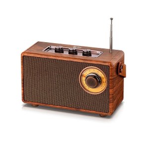 Britz BA-MK5 블루투스 포터블 스피커 라디오