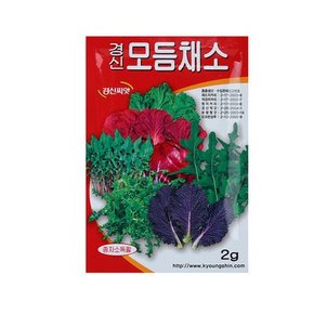 미미네가든 모듬 채소 씨앗 (2g) 텃밭 쌈채소 키우기 .미미네아쿠아