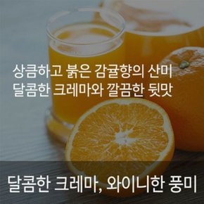 감귤향의 산미 달콤한 크레마 코스타리카 따라쥬 1kg 커피원두 원두커피