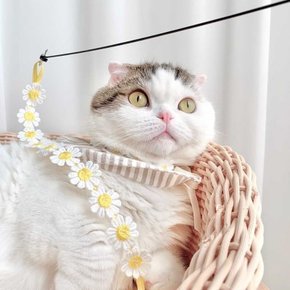 개달당 동백꽃 낚시대 고양이 끈 장난감 카샤카샤 리필 (색상랜덤)