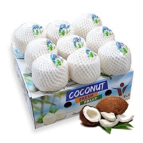 베트남 코코넛 9과 1박스 9kg 생코코넛