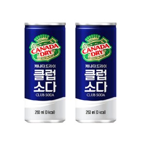 [코카콜라음료] 캐나다드라이 클럽소다 250ml 60캔