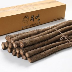 [서안동농협] 유명산지 우엉 대품 2kg