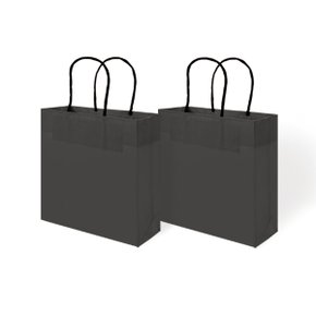 컬러 쇼핑백 - BLACK (2매입)
