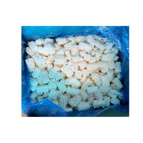 솔방울오징어 벌크 냉동 (박스출고) 10000g
