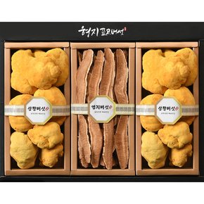 [형지표고버섯] 장수 상황버섯 특 2호 버섯 선물세트