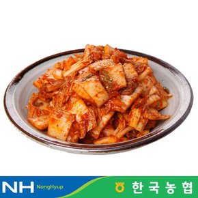 한국농협 마이산김치 국내산 막김치 1kg