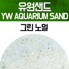 유원 아쿠아리움 샌드 2kg그린 노멀 어항장식 수조 소일 바닥재 모래