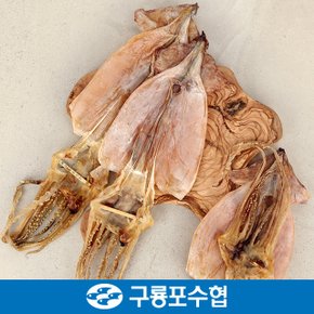 포항 구룡포 건오징어 20미(550g내외)