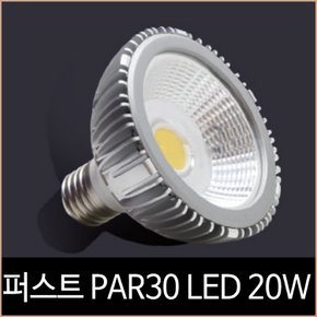 퍼스트 파30 COB타입 램프 LED 20W 주광색