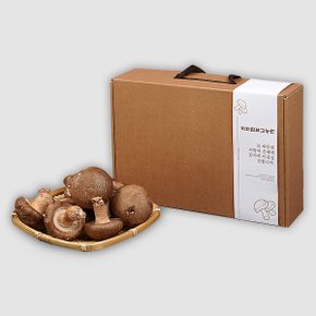 무농약 생표고버섯 선물세트