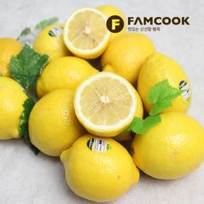 새콤한 프리미엄 레몬 40과 4.8kg