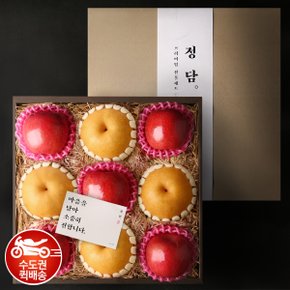 [수도권 퀵배송][SSG 정담] Premium 사과배 혼합선물세트 (사과5개, 배4개)