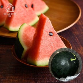 [웰굿] 국내산 달콤하고 시원한 흑수박 1통(4-5kg내외)