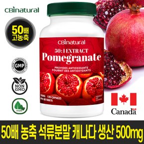 50배 농축 석류 500mg 120캡슐 4개월  캐나다 생산  본사직발송 캐나다 식약청 GMP/NPN인증