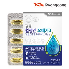 혈행엔 오메가3 (1,000mg x 60캡슐) - 1박스(2개월분)