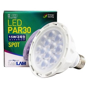 LED PAR30 15W 집중형