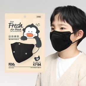 마스크 KF94 새부리형 소형 10매 30매 블랙 / 더숨 마스크