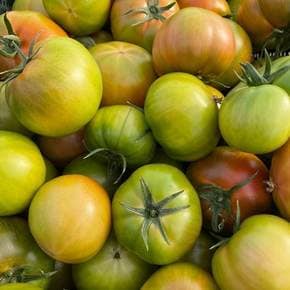 프리미엄 정품 대저 짭짤이 토마토 2.5kg 2S