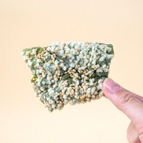 찹쌀부각 박진수 수제 저염식 생 다시마부각 선물세트 (40g x 5봉)
